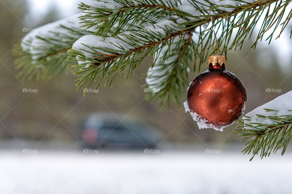Red Christmas Ball on the snow covered Fir Branch next to the highway