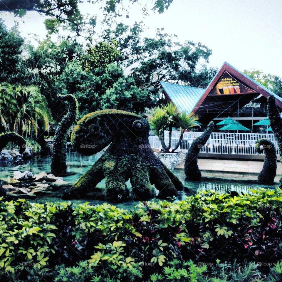 octopus topiary