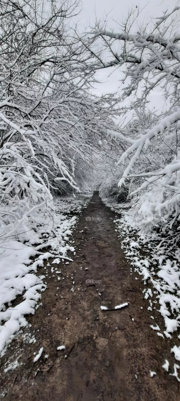 Winter and coming