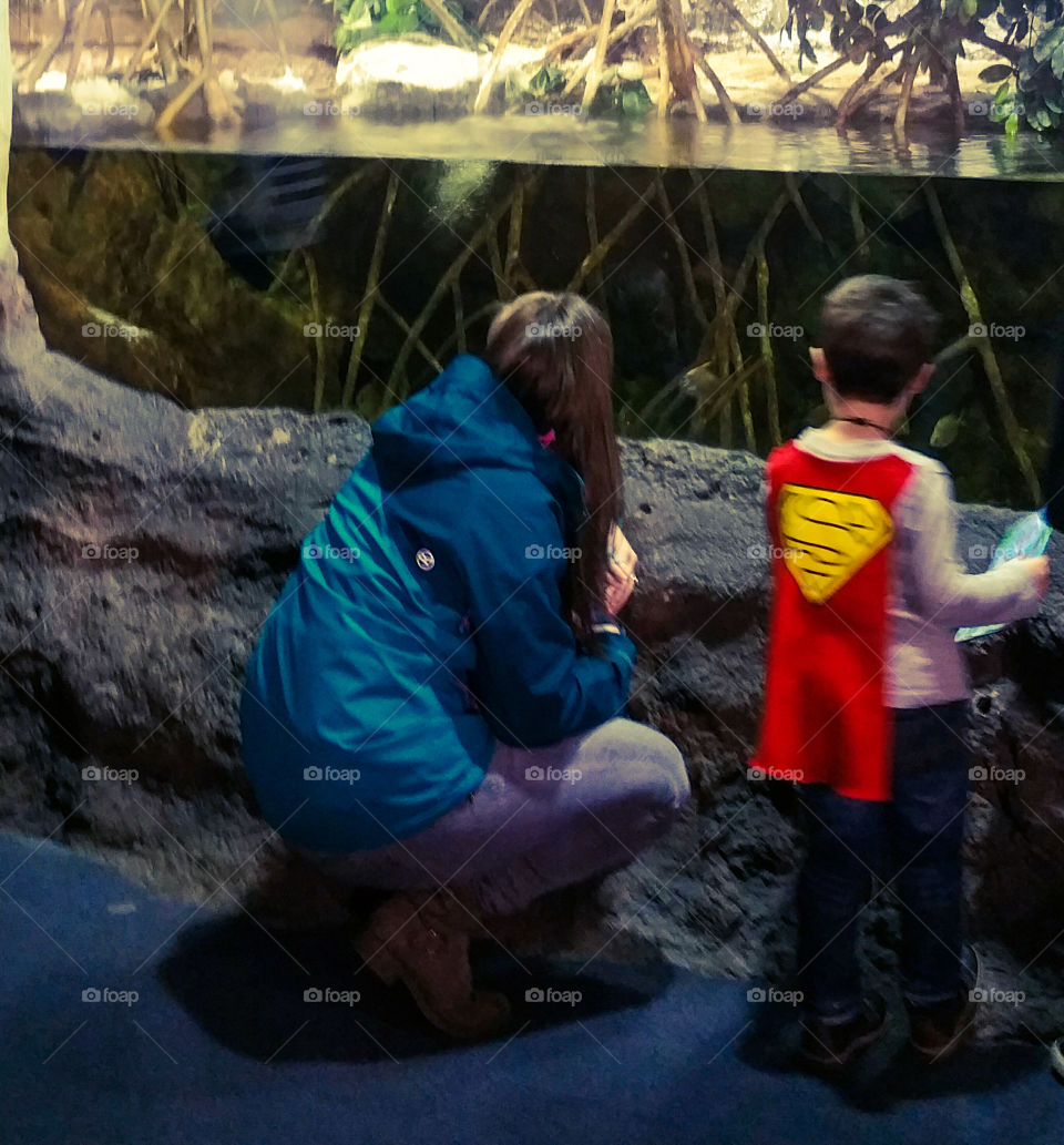 Kids looking into an aquarium