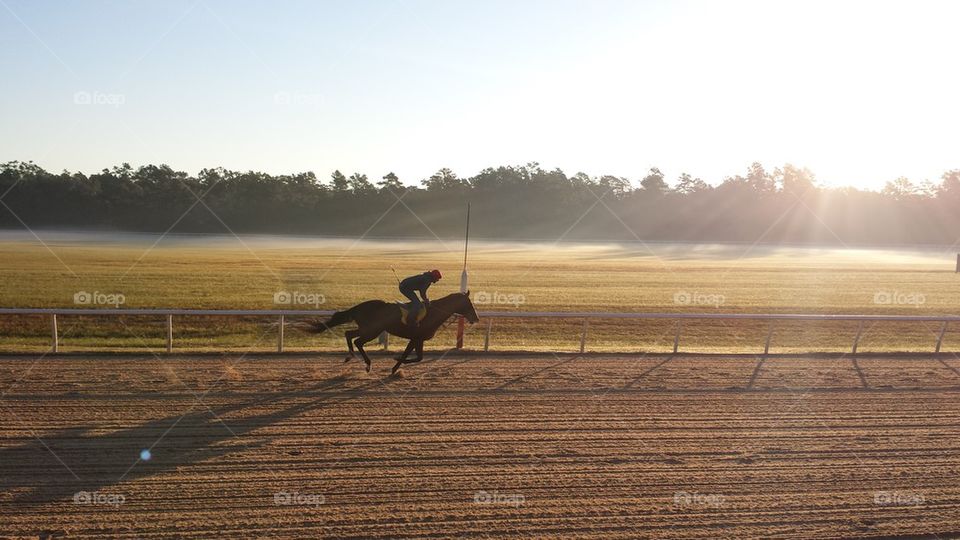 Jockey on Horse