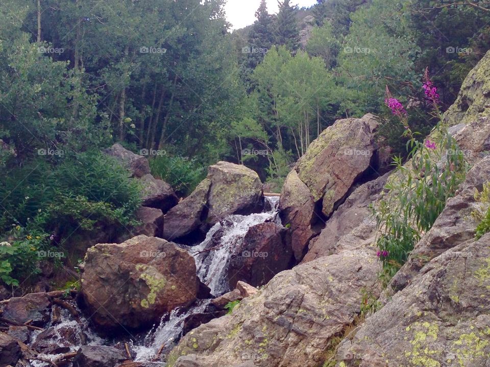 Rocky Mountain Streams