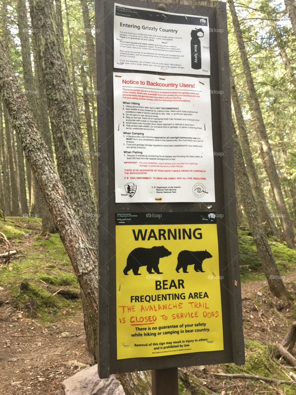 Bear warning sign