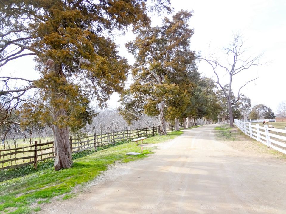 Mount Vernon path