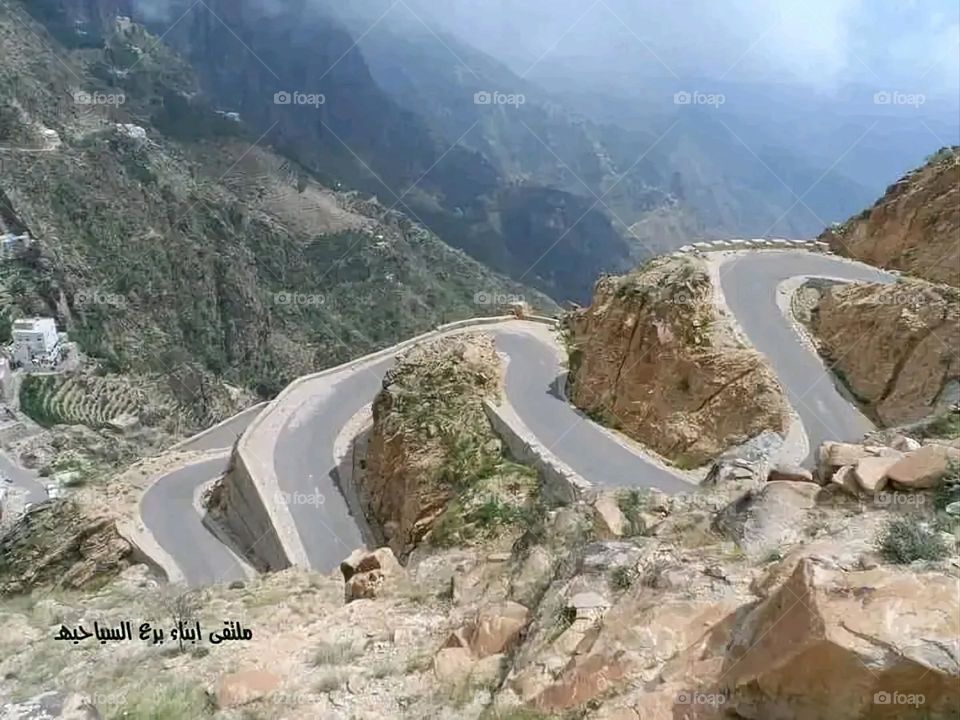 A very beautiful picture, and there is no better picture than it. There is no better picture of green herbs and colorful, red and white roses than it. Glory be to God, the natural and picturesque view, and there is no more