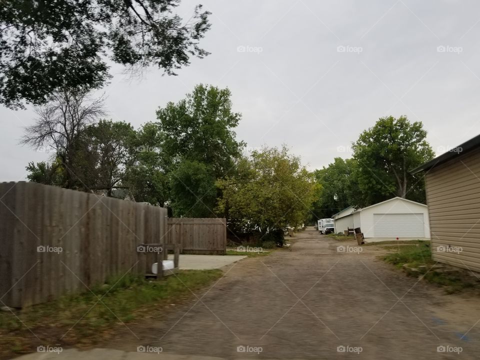 House, Building, Tree, Home, Architecture