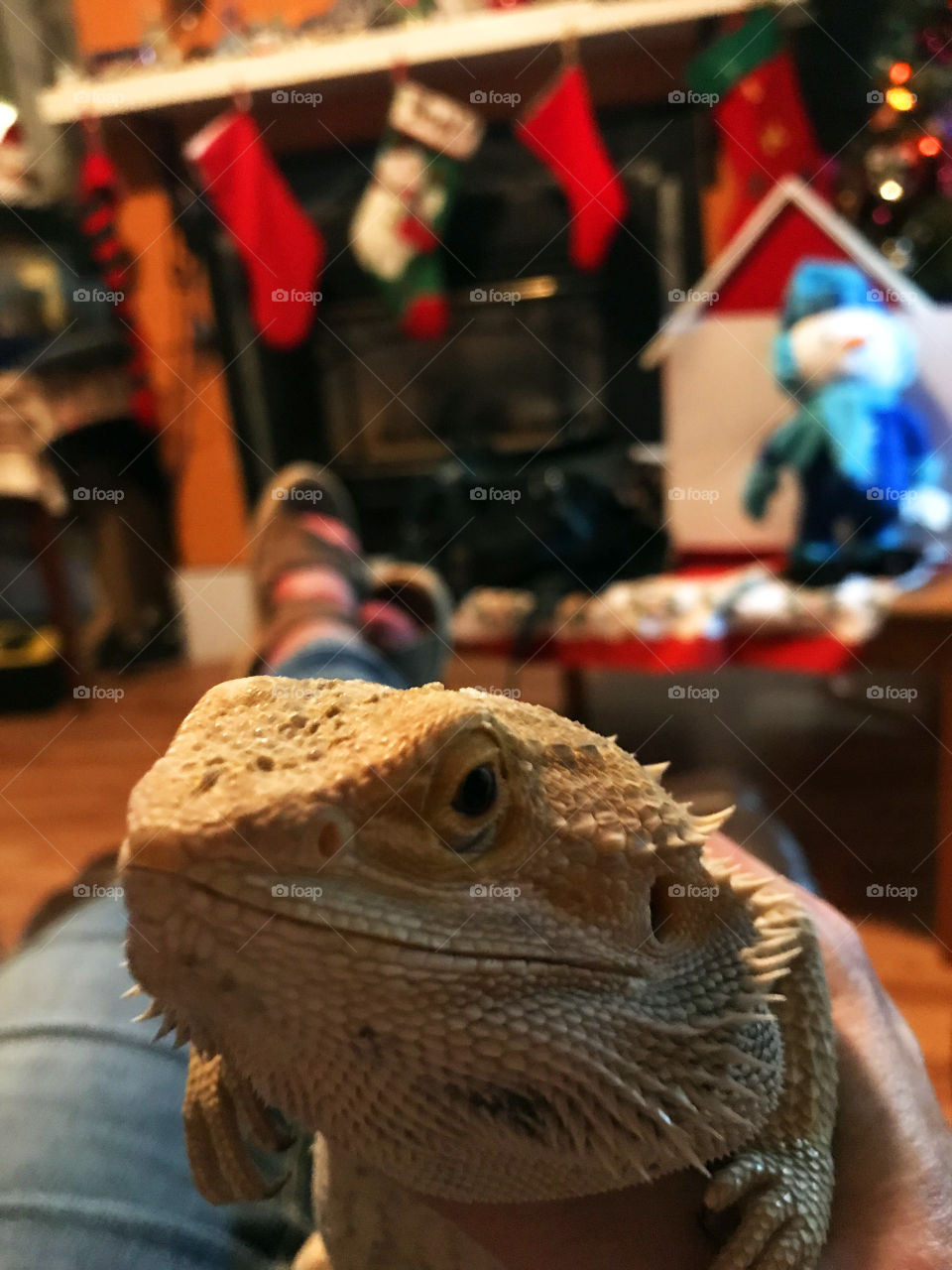 My favourite room in the house is the room where there is the most interaction with my family; my open kitchen -family room. This is also the room where we cuddle & snuggle. Even spiky Stormy likes cuddles! Home is where the heart is! ❤️