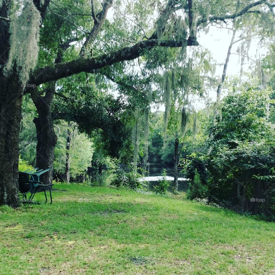 home, river, chair, relax, trees, Beauty, nature