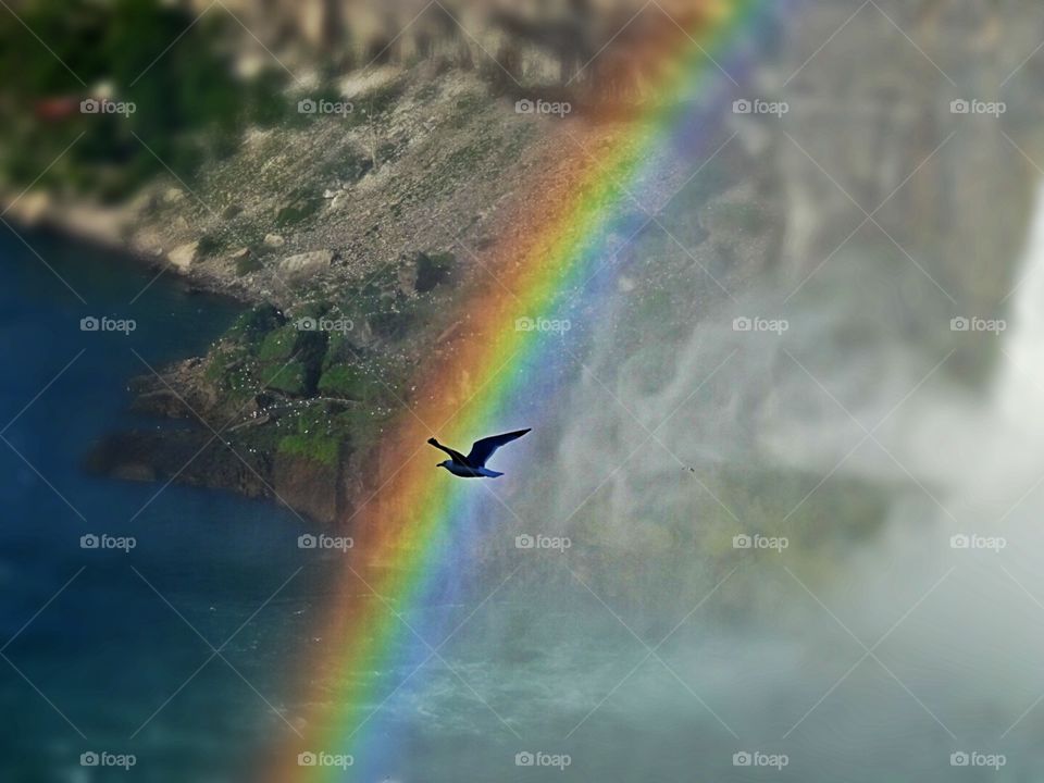 Nature and it's Beauty