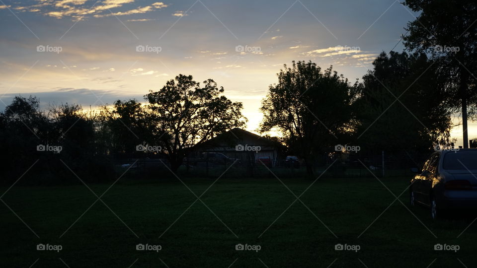 Early morning Dawn through the country trees