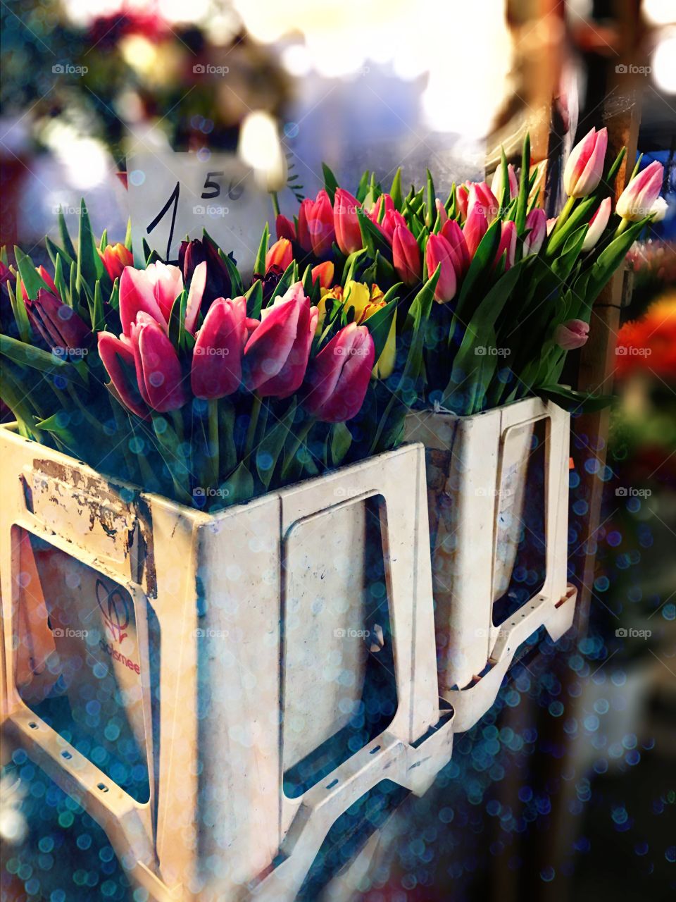 Tulip flowers in market for sale