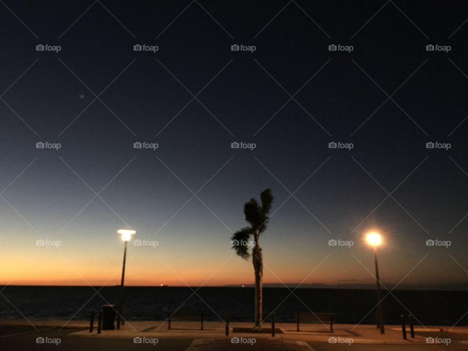 Silhouettes of two street lamps and palm tree against the sunset at the ocean 