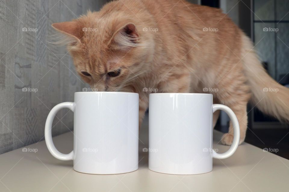 Two white ceramic cups for applying images and photos