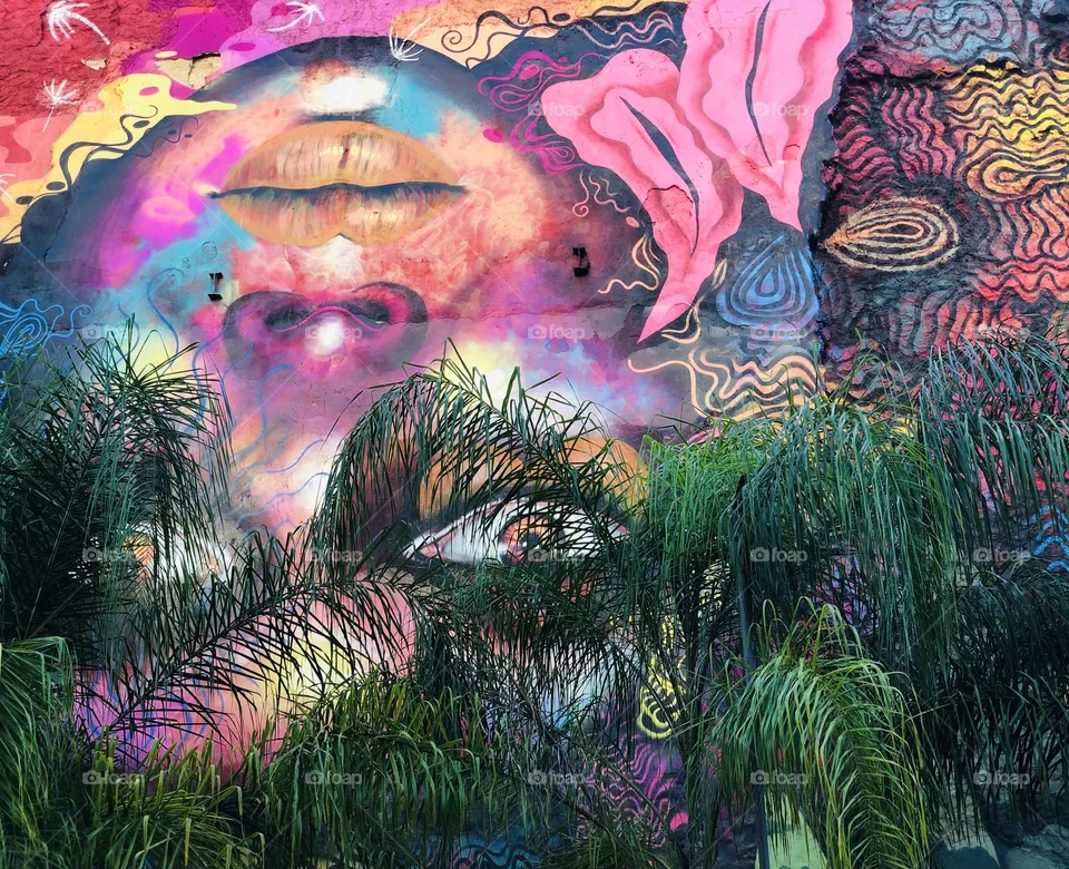 Graffiti 
