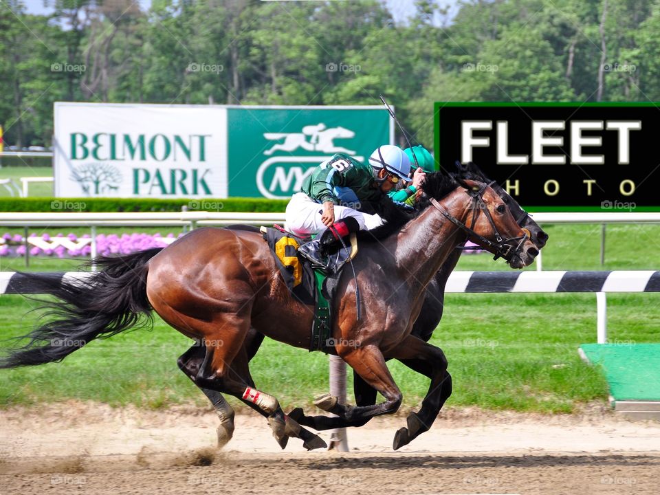 Fleetphoto at Belmont Park. Racing from Belmont Park, New York. Home to all 12 Triple Crown winners. This photo finish was won by Milesmore #6. 
