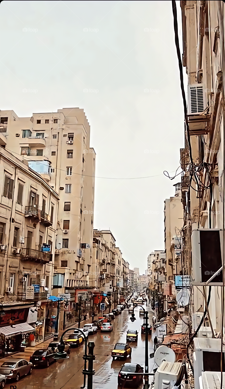 Alexandria roads