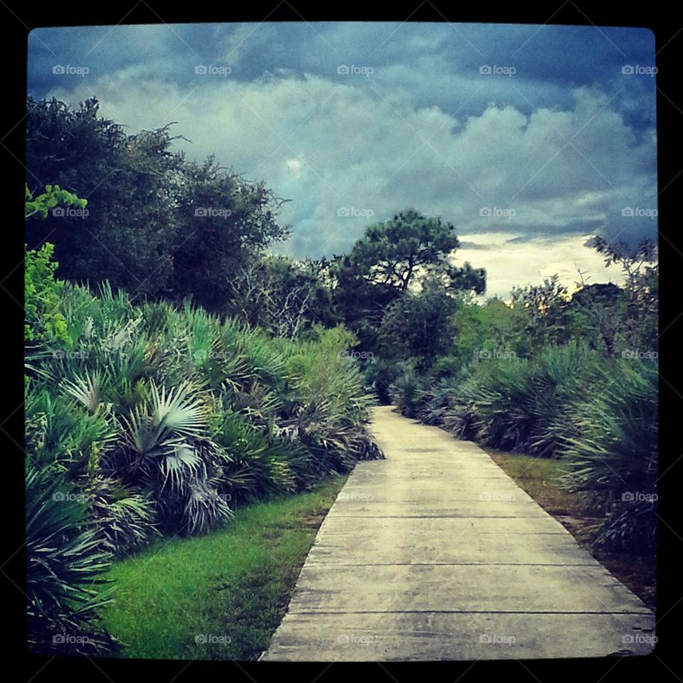 path to the beach