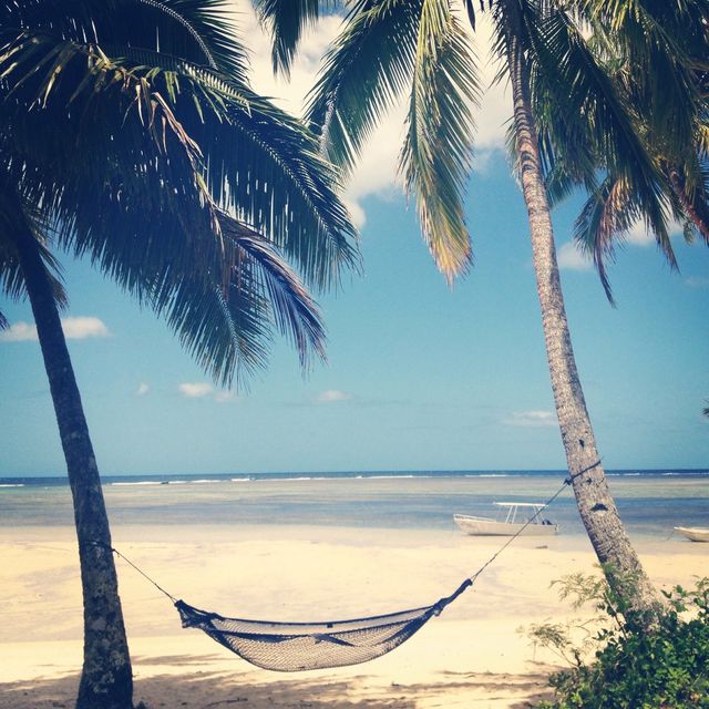 Hammock