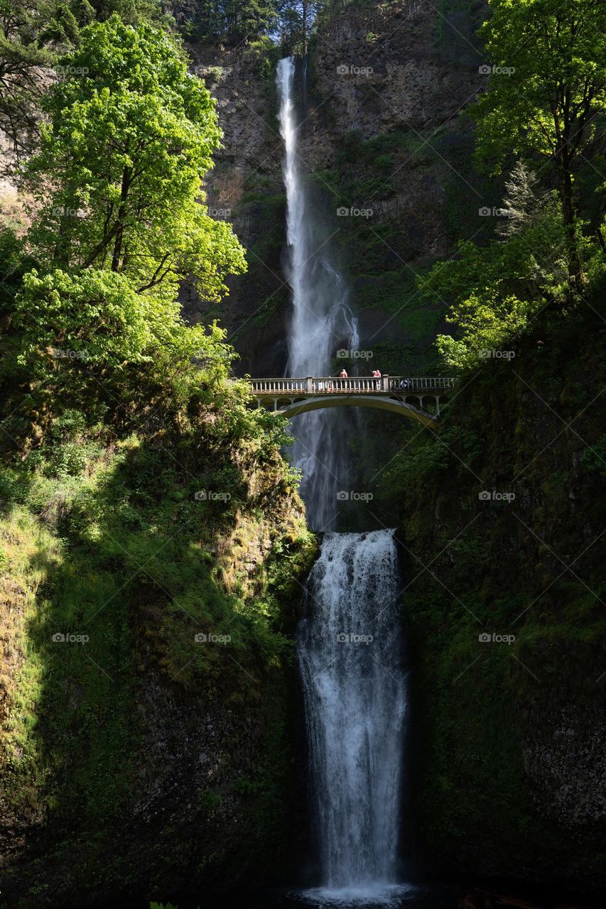 Waterfall in Oregon 