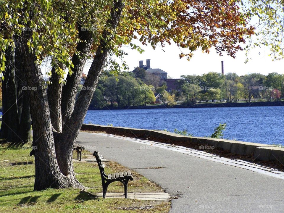 Vandenburg Park. A lovely place to sit and relax, or go for a walk along the Merrimack River in Lowell,Massachusetts.