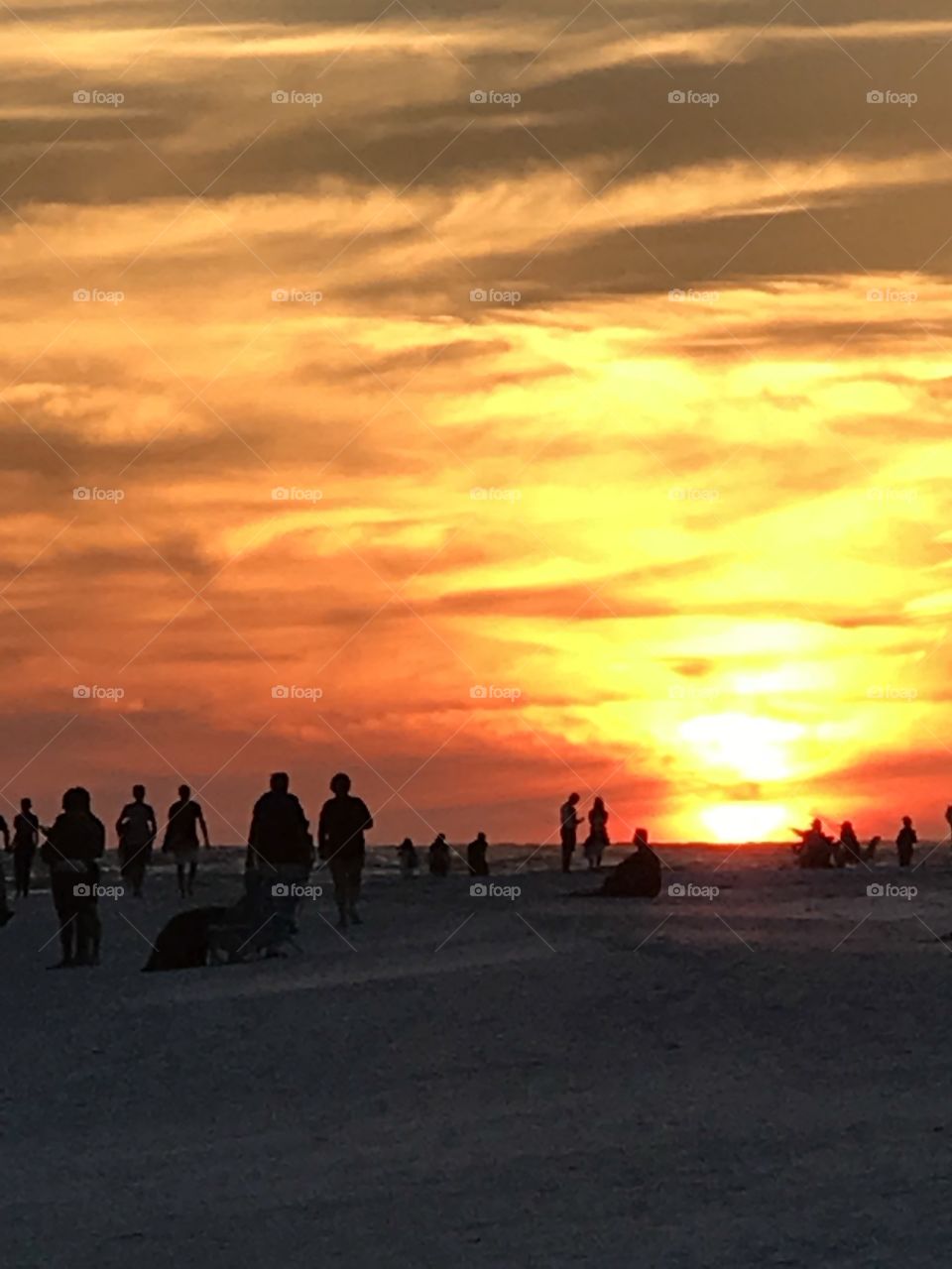 sunset Gathering