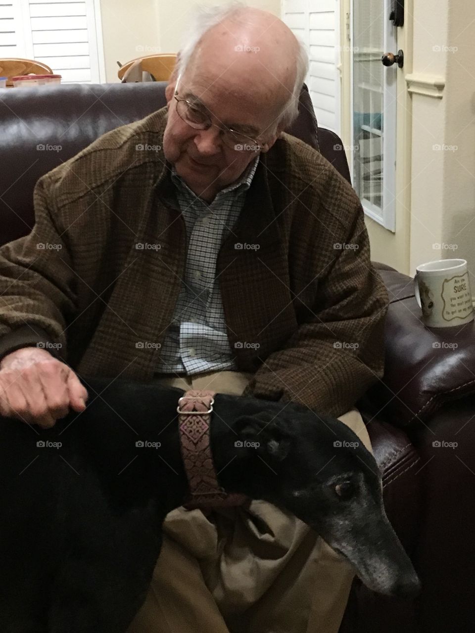 Fond Farewell

This is the last time Uncle Jim saw his dog, Bella, before he passed away.  #FOAPNATION