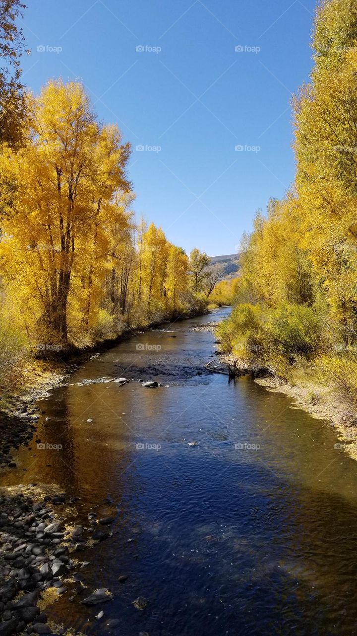 Creek in autumn