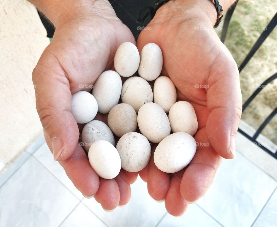 Little rocks from a beautiful beach!