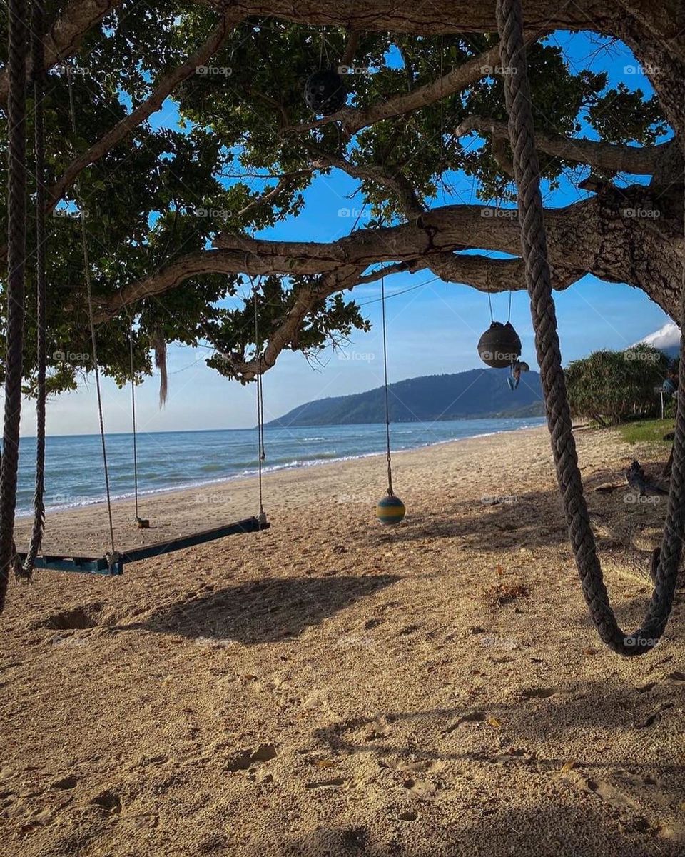 Under a tree on the beach with road swings and blue skies 