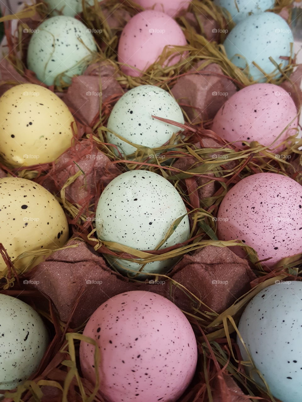 colorful eggs