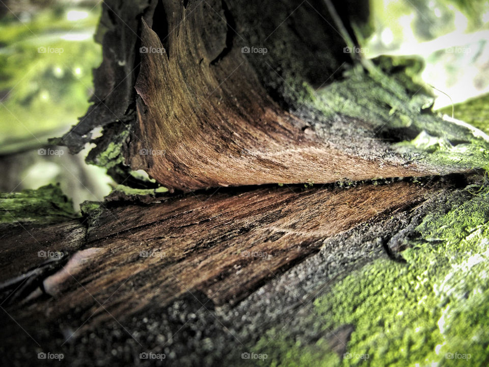 sweden life earth form by gordynodrog