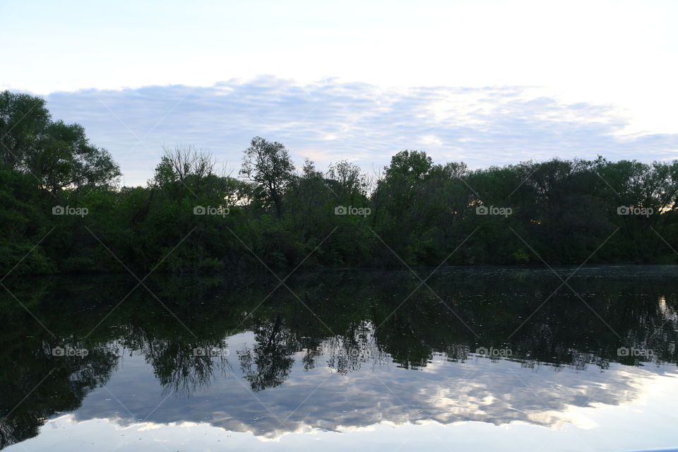 early dawns tree cloud reflection