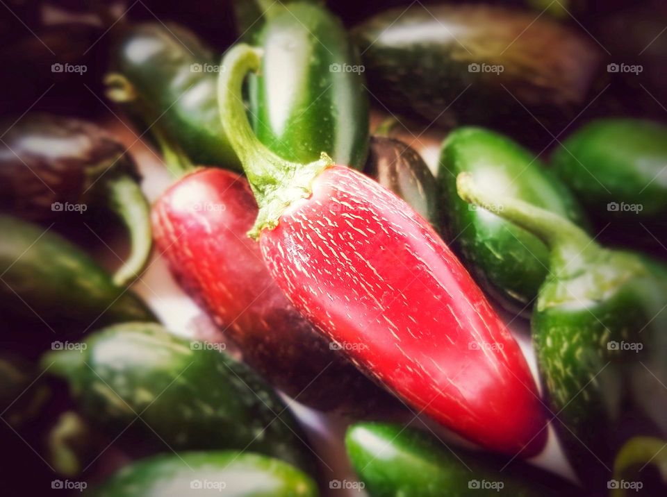 Jalapeno Peppers in Red & Green