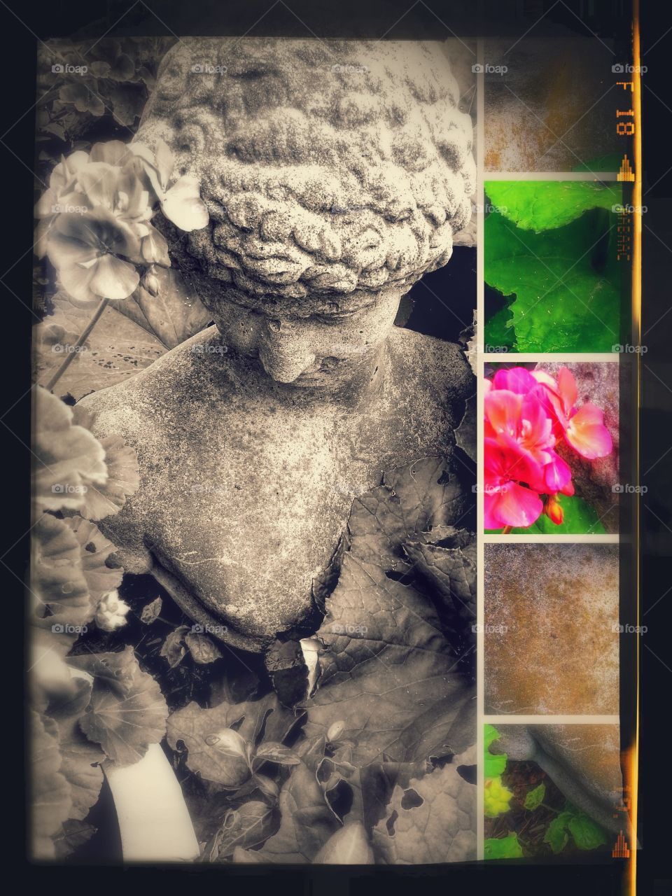 Garden Collage