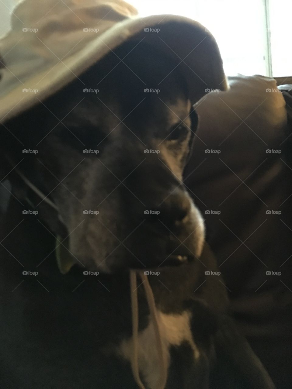 Good morning to all you Foapers I’m just rocking my daddy’s hat this morning I am.