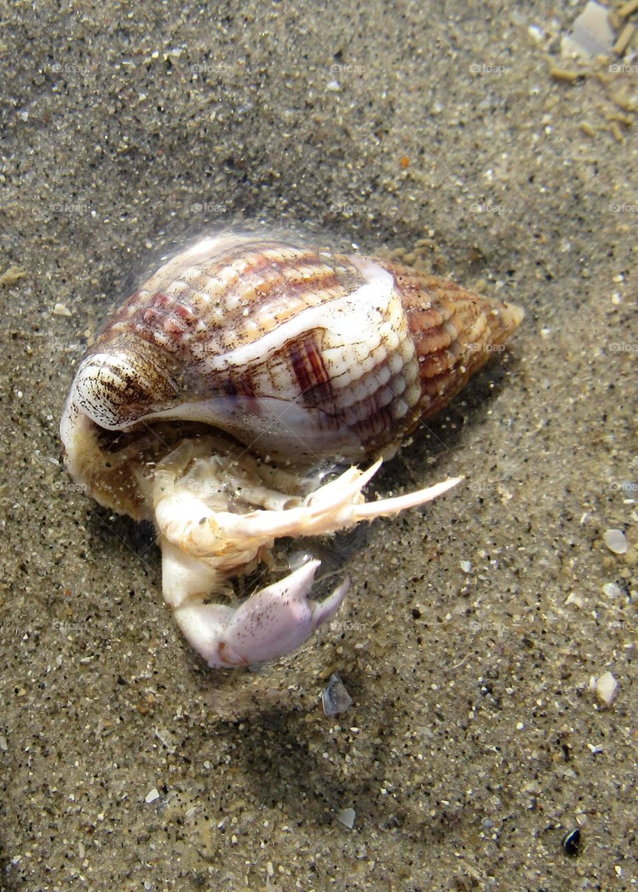 At the seaside