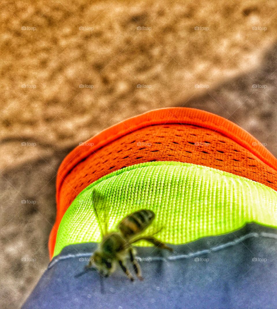 There's a bee on me 