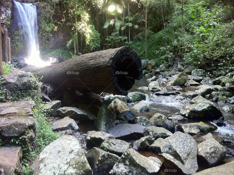 water rocks rainforest tranquility by JadeyBones