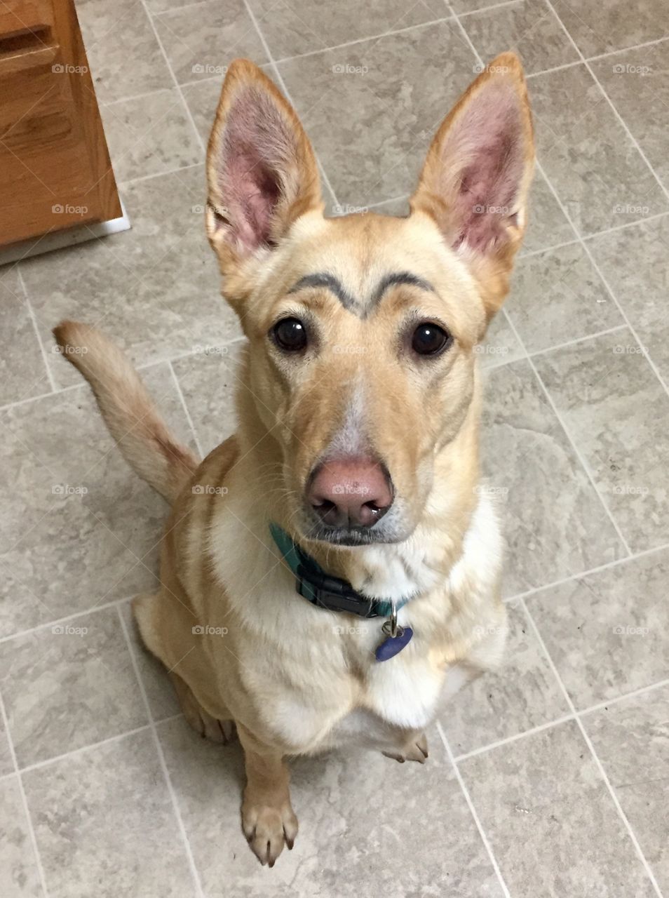 Sheila got her brows done!