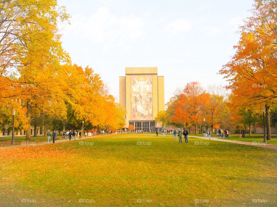 Notre Dame in autumn