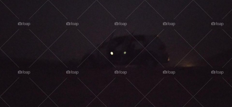 pique-nique with friend at night in desert