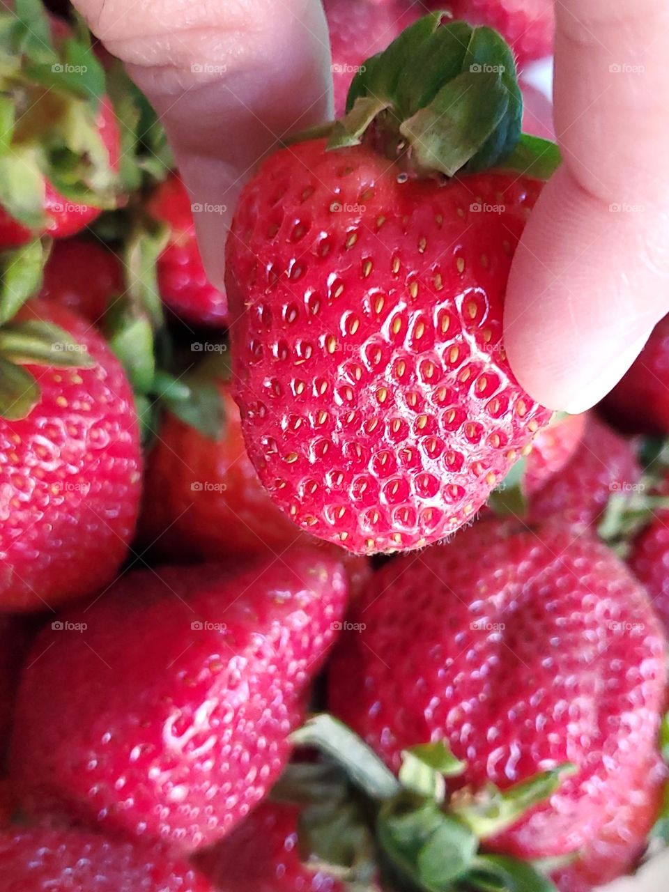 Viva magenta ... the color of sweet strawberries! Yes please! I will have one!