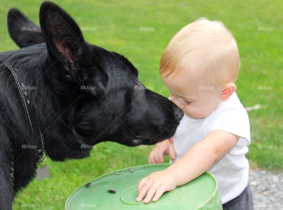 A baby and his doggie giving Eskimo kisses. 