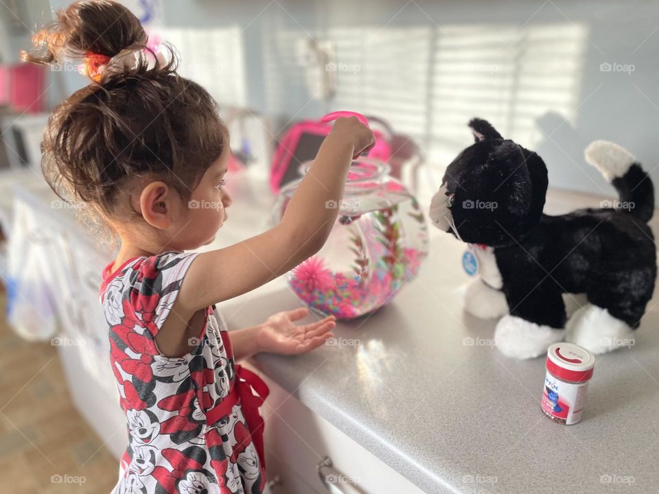 Toddler girl feeds fish, stuffed cat watches as toddler girl feeds fish, fish in a tank, feeding fish, fish as pets 