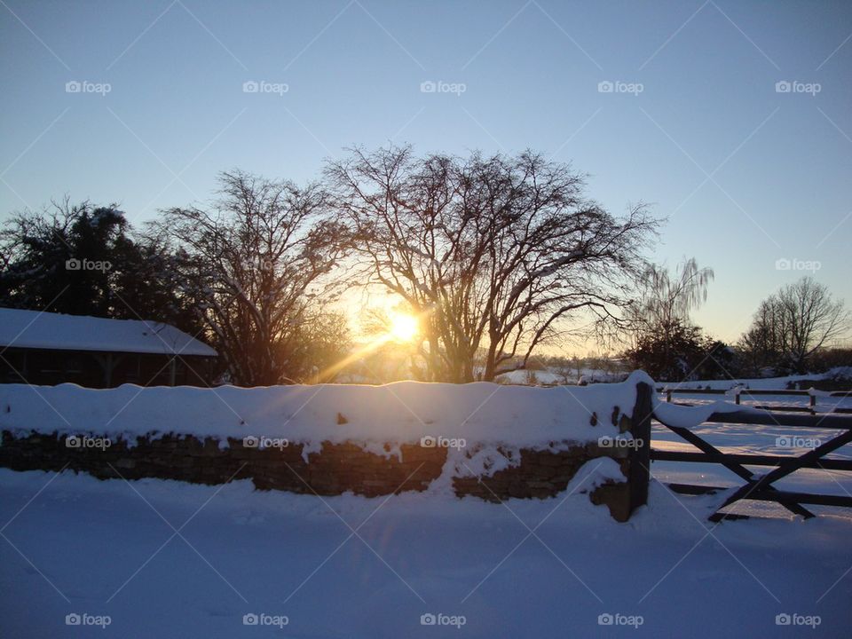 Winter Wonderland Gate