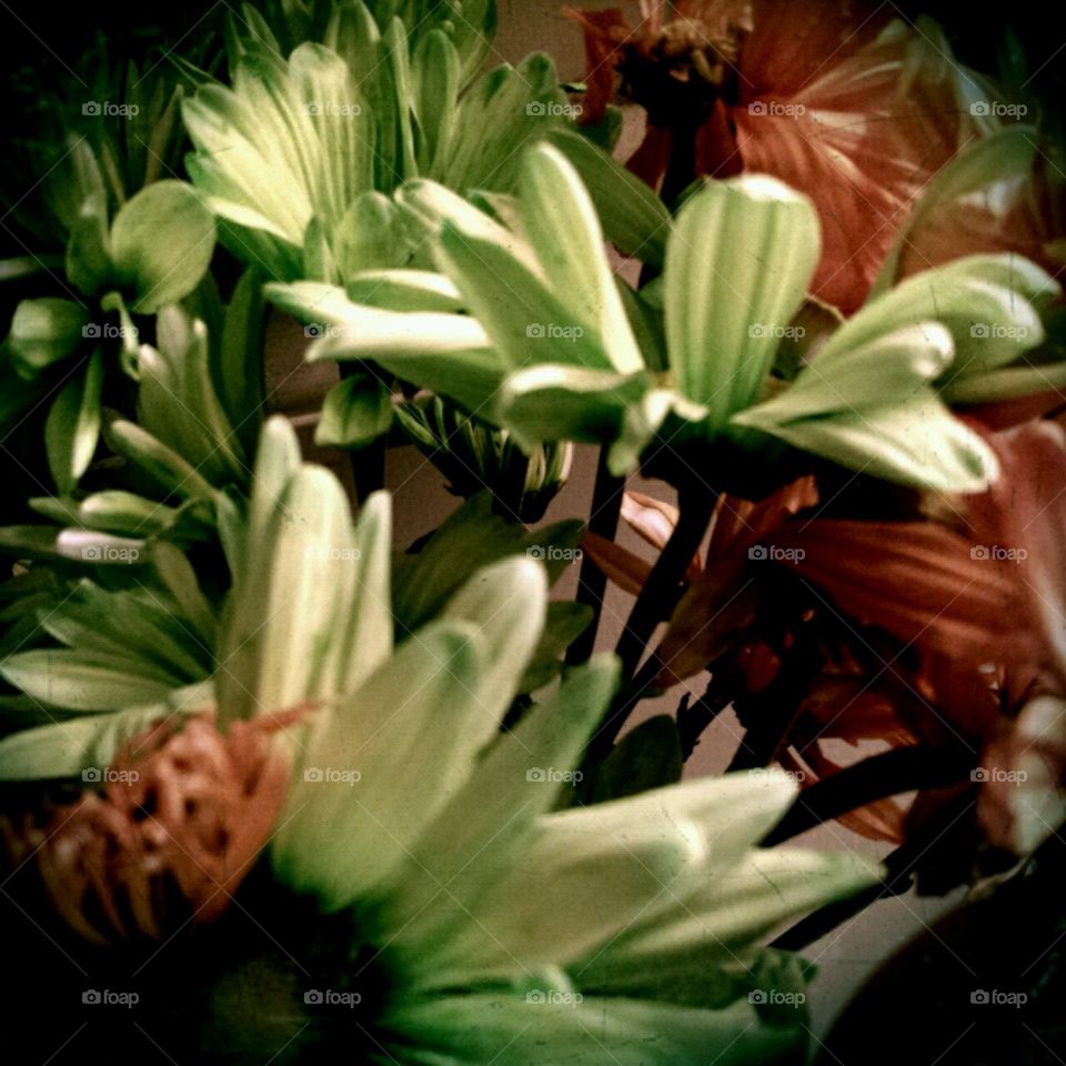 envious. lighting effects