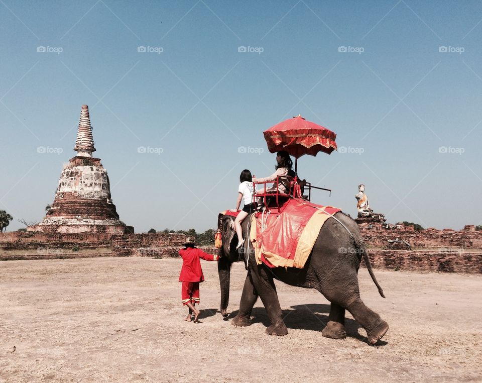 Tourist on an elephant ride tour of the ancient city Ayutthaya