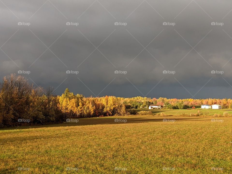 Yellow field and dark cloudy sky.