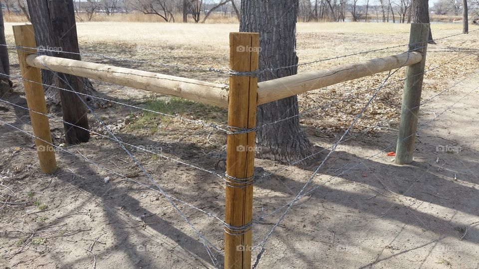 Fence and Posts