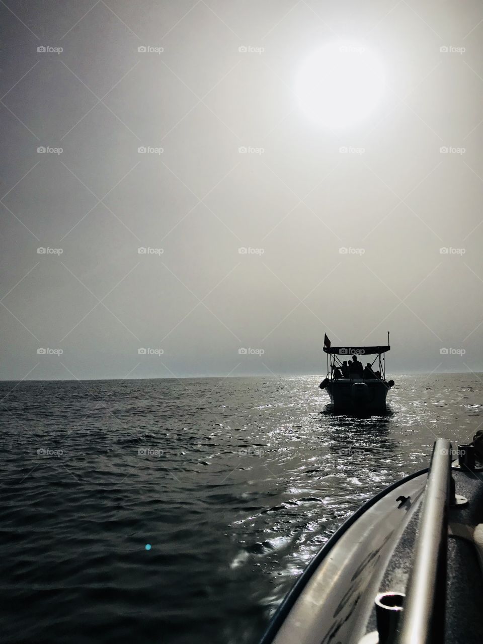 Dolphin safari was awesome 